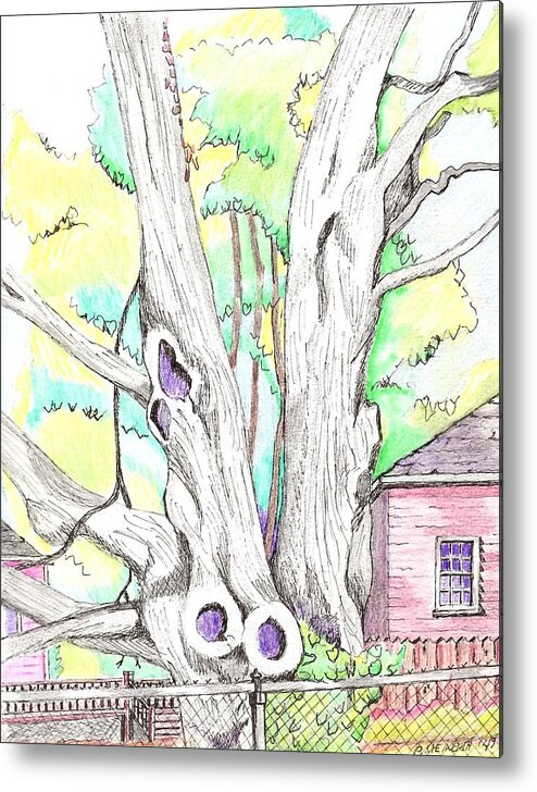 Old Trees Metal Print featuring the drawing Tree Time by Paul Meinerth
