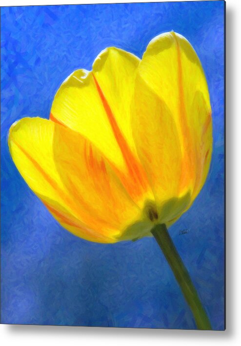 Tulip Metal Print featuring the painting Tulip 2713 by Dean Wittle