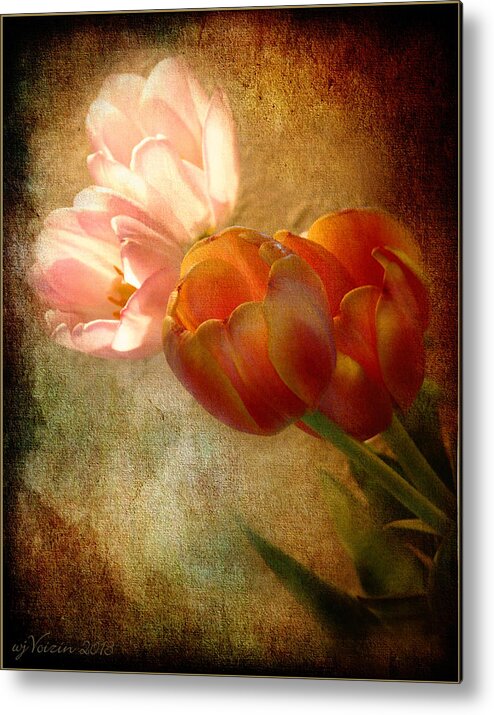 Tulips - Bill Voizin Metal Print featuring the photograph Tulips by Bill Voizin 