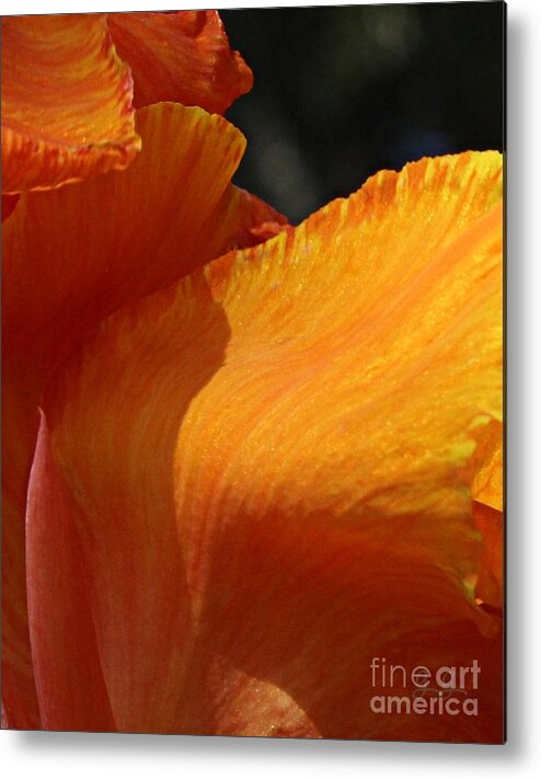 Floral Metal Print featuring the photograph Twist Of Fate by Geri Glavis