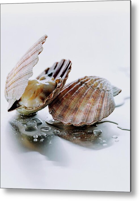 Cooking Metal Print featuring the photograph Two Scallops by Romulo Yanes