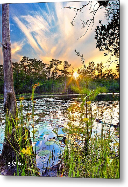 Eszra Metal Print featuring the photograph Yellow Wild Flowers Swamp Sunset Blue Sky Reflection Art Prints by Eszra