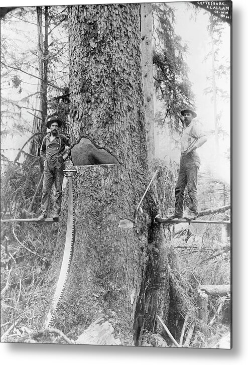 Human Metal Print featuring the photograph Us Forestry by Library Of Congress