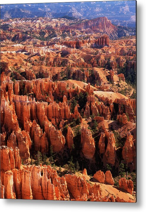 Adam Jones Metal Print featuring the photograph USA, Utah, Bryce Canyon National Park by Adam Jones