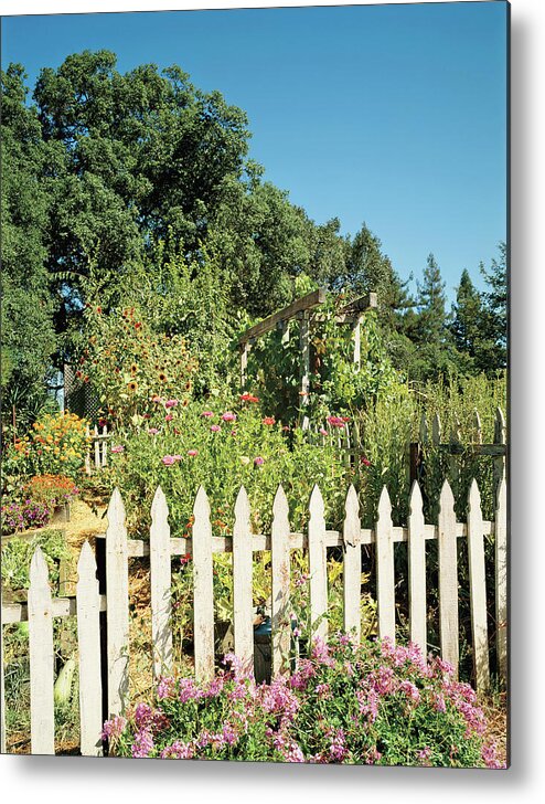 No People Metal Print featuring the photograph View Of Picket Fence Garden by Mary E. Nichols