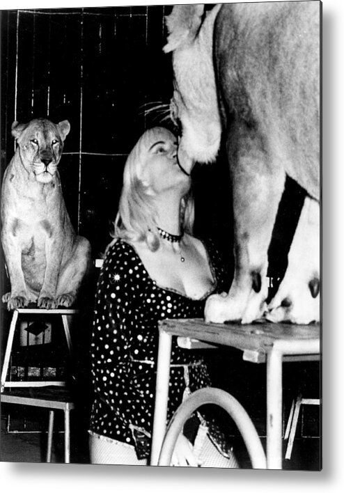 Retro Metal Print featuring the photograph Vintage Circus Lion Love by Retro Images Archive