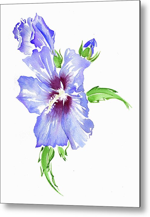 Beauty In Nature Metal Print featuring the painting Watercolor Painting Of Hibiscus by Ikon Images