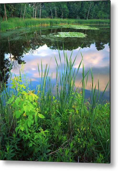 Sunset Metal Print featuring the photograph Wetland Serenity by Ray Mathis