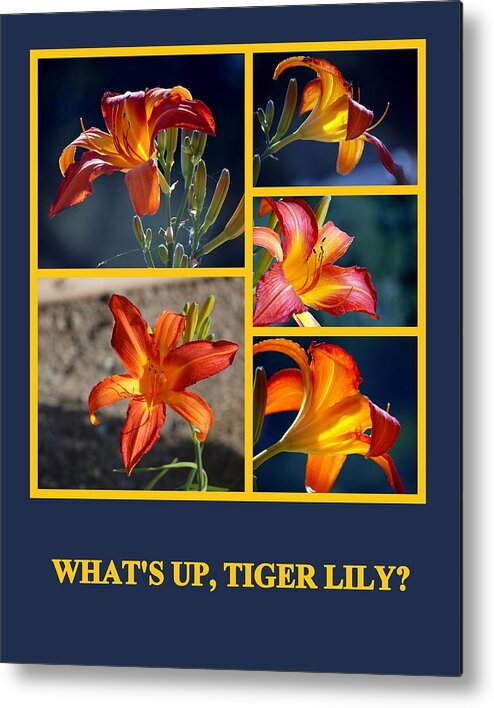 Flowers Metal Print featuring the photograph What's Up Tiger Lily by AJ Schibig
