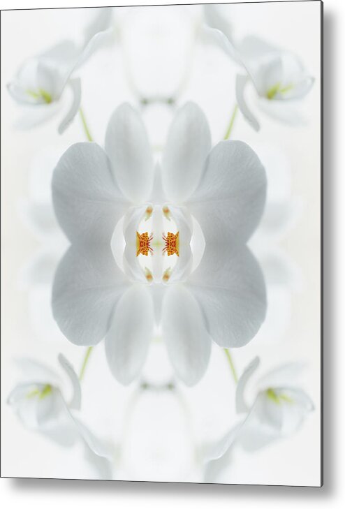 Tranquility Metal Print featuring the photograph White Orchid Flower by Silvia Otte