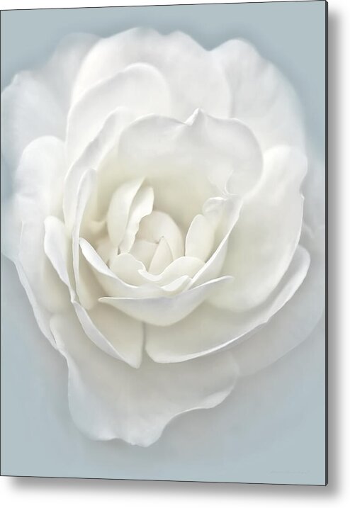 Rose Metal Print featuring the photograph White Rose Flower Silver Blue by Jennie Marie Schell