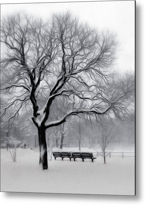 Winter Metal Print featuring the digital art Winter in the Park by Nina Bradica