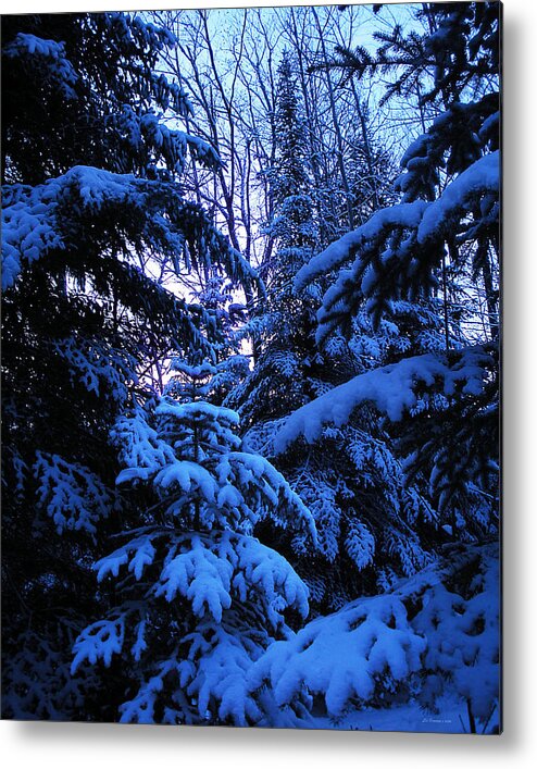  Winter Scene Photographs Metal Print featuring the photograph Winter Lace by Liz Evensen
