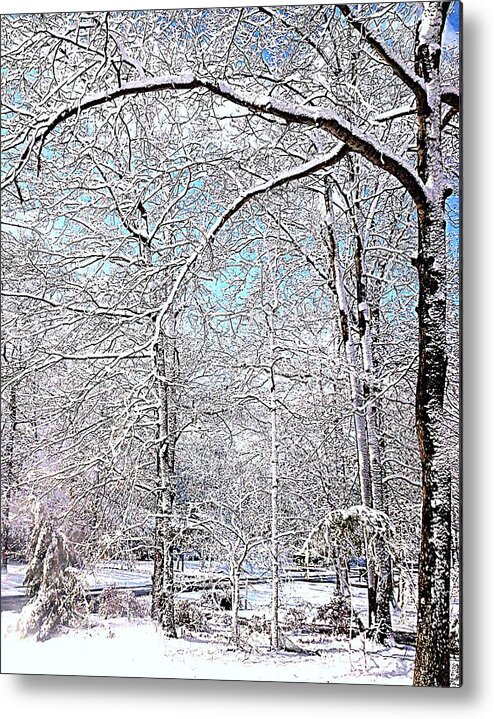 Snow Metal Print featuring the photograph Winter On A Spring Day by Pamela Hyde Wilson