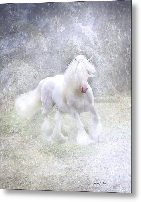 Horses Metal Print featuring the photograph Winter Spirit by Fran J Scott