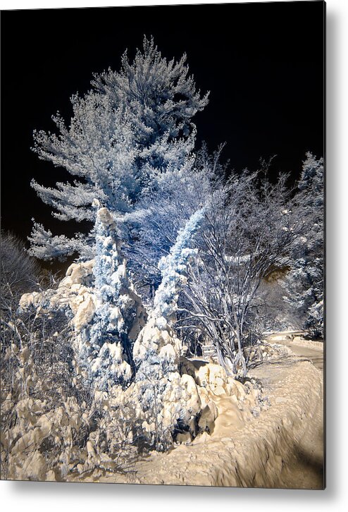 Snow Scene Metal Print featuring the photograph Winter Wonderland by Steve Zimic