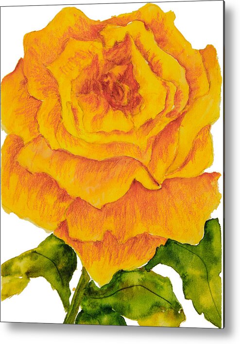 Yellow Rose Metal Print featuring the painting Yellow Rose by Sally Quillin