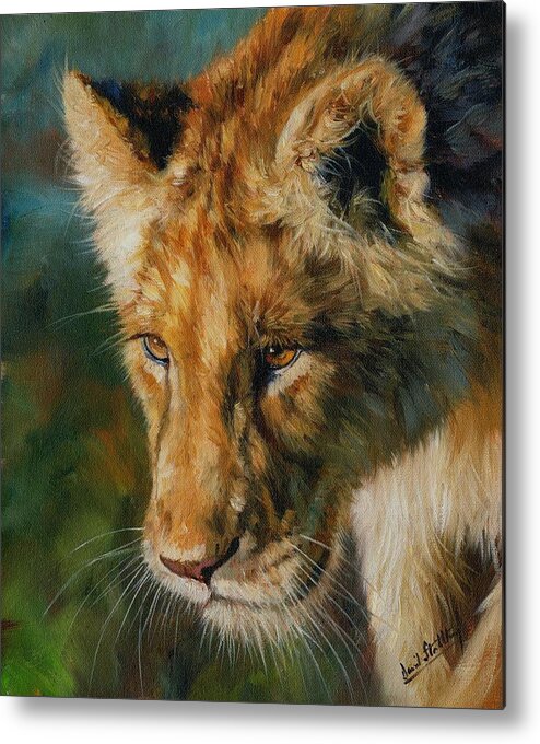 Lion Metal Print featuring the painting Young Lion by David Stribbling