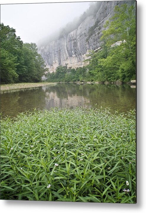 Arkansas Metal Print featuring the photograph 0706-0079 Roark Bluff at Steel Creek 1 by Randy Forrester