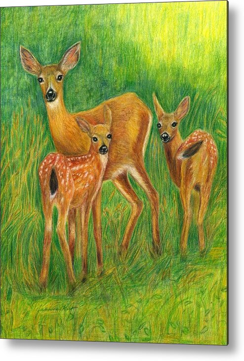 Deer Metal Print featuring the painting Doe with Twin Fawns Colored Pencil #1 by Jeanne Juhos