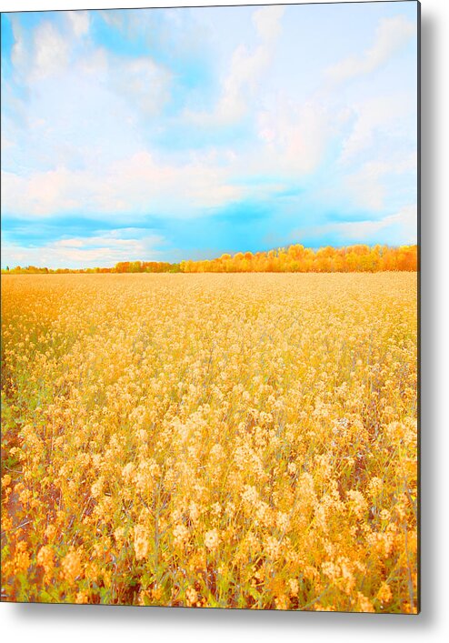 Rural Photo Metal Print featuring the photograph On a Clear Day #1 by Bonnie Bruno