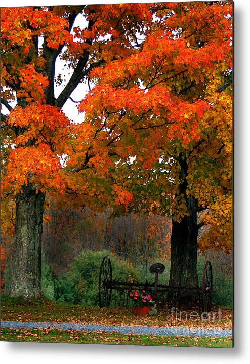 Diane Berry Metal Print featuring the painting Adirondack Palette by Diane E Berry