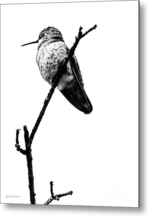 Bird Metal Print featuring the digital art Another Little Bird by Rhonda Strickland
