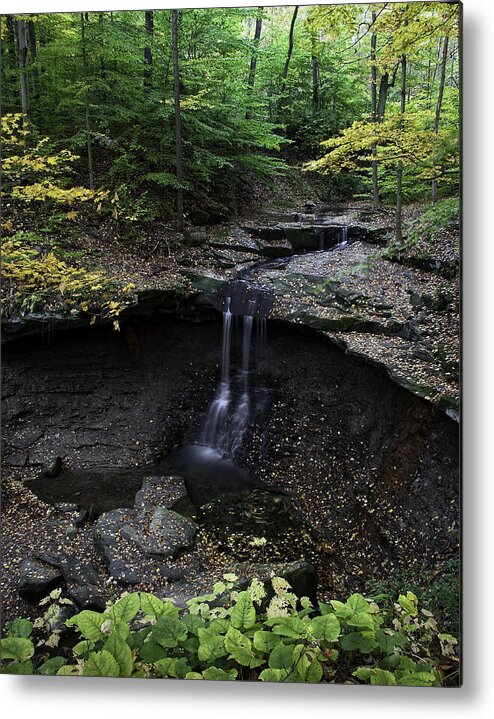 Waterfalls Metal Print featuring the photograph Blue Hen Falls by Dale Kincaid