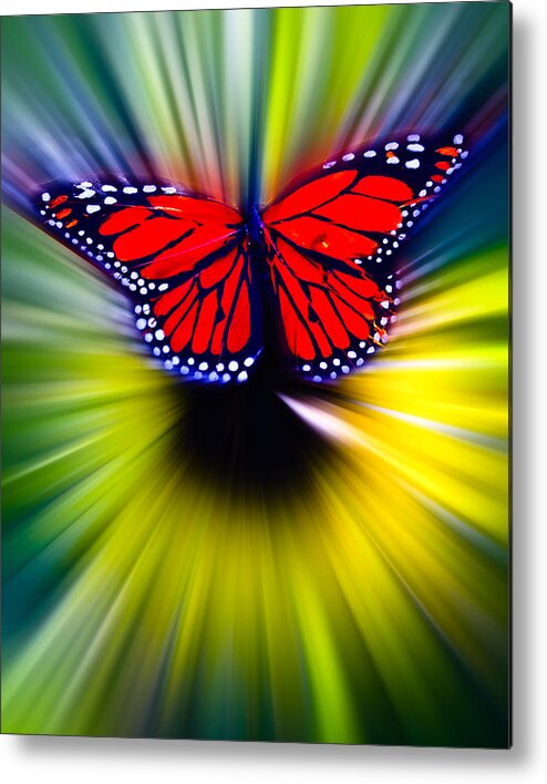 Butterfly Metal Print featuring the photograph Butterfly Fly by Steve McKinzie