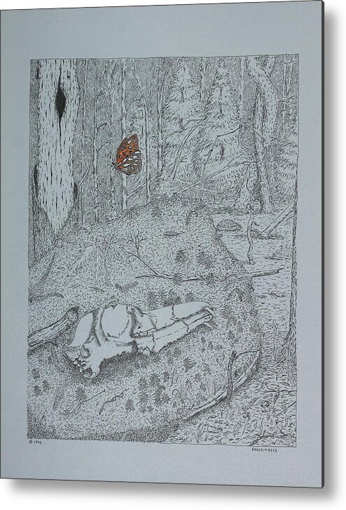 Nature Metal Print featuring the drawing Canine Skull And Butterfly by Daniel Reed