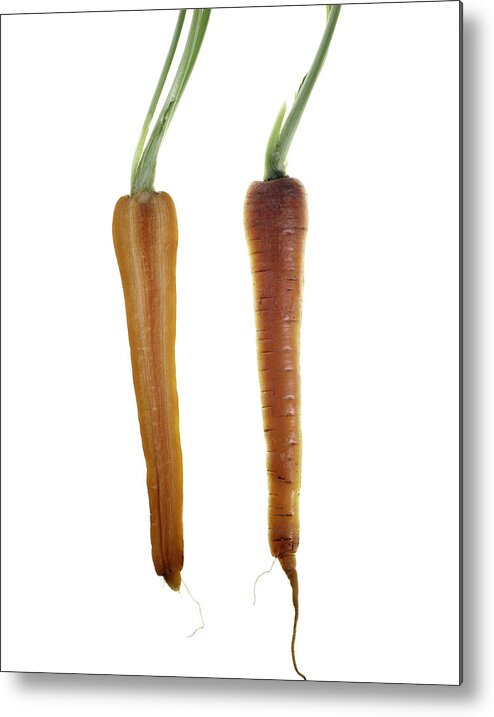 Fruit Metal Print featuring the photograph Carrot by Nathaniel Kolby