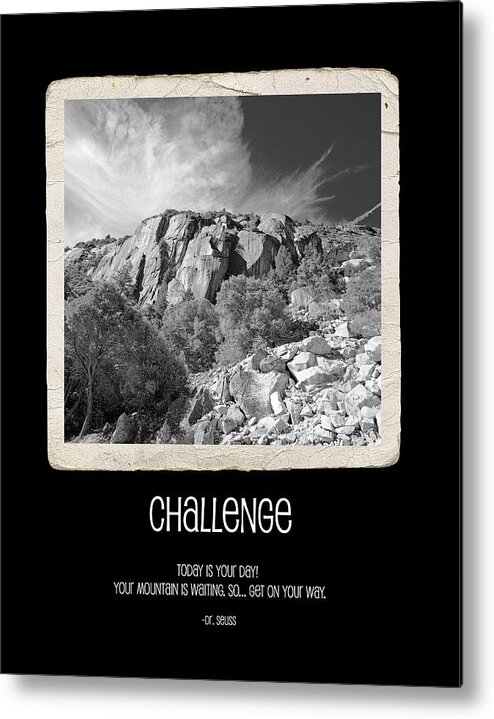 Challenge Metal Print featuring the photograph Challenge by Bonnie Bruno