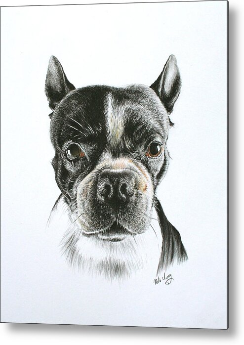 Portraits Metal Print featuring the drawing Cooper by Mike Ivey