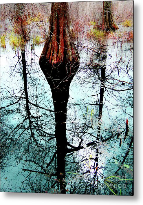Lake Martin Metal Print featuring the photograph Cypress Lake Martin by Lizi Beard-Ward