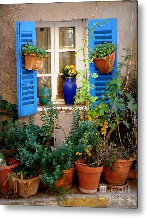 Window Metal Print featuring the photograph Flower Pots Galore by Lainie Wrightson