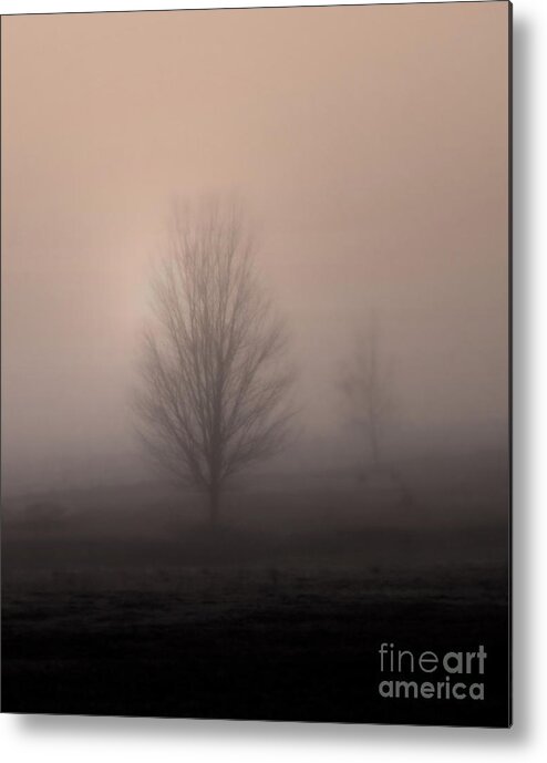 Landscape Metal Print featuring the photograph Foggy Pasture by Deborah Smith