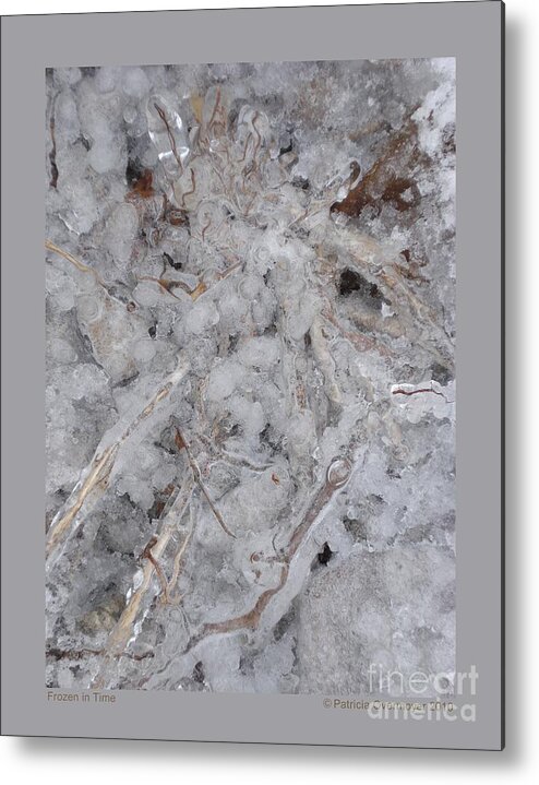 Ice Metal Print featuring the photograph Frozen in Time by Patricia Overmoyer