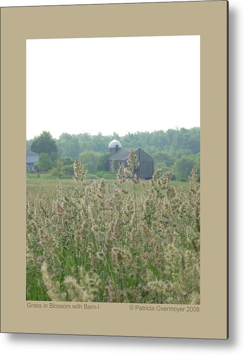 Landscape Metal Print featuring the photograph Grass in Blossom with Barn-I by Patricia Overmoyer