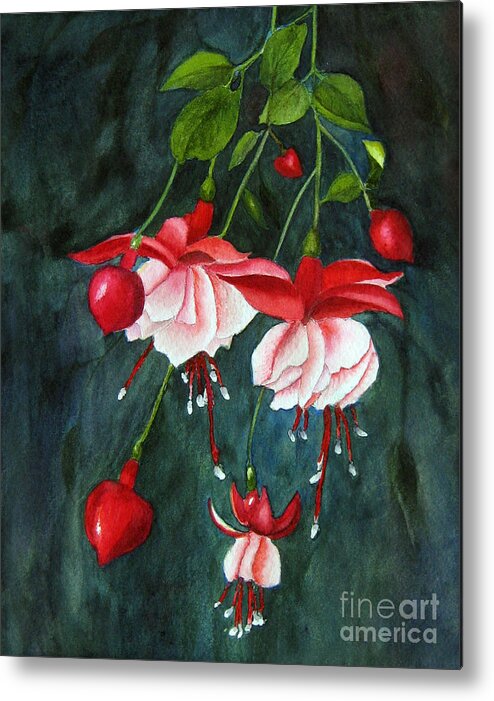 Floral Metal Print featuring the painting Hanging Fuchsia - Watercolor by Jean A Chang