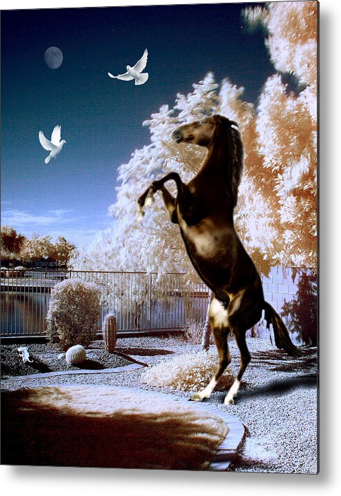 Birds Metal Print featuring the photograph Horsing Around by Jim Painter