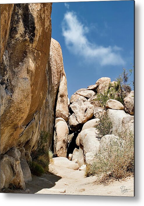 Endre Metal Print featuring the photograph Joshua Tree Rocks by Endre Balogh