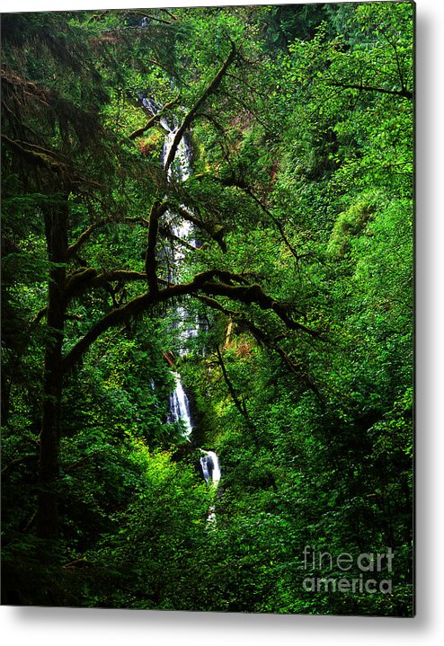 Munson Creek Falls Metal Print featuring the photograph Oregon - Munson Creek Falls by Terry Elniski