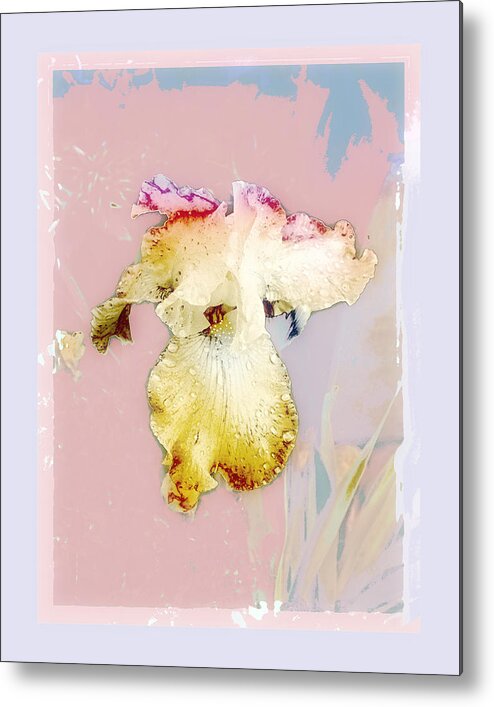 Flower Metal Print featuring the photograph Painted Iris by Karen Lynch