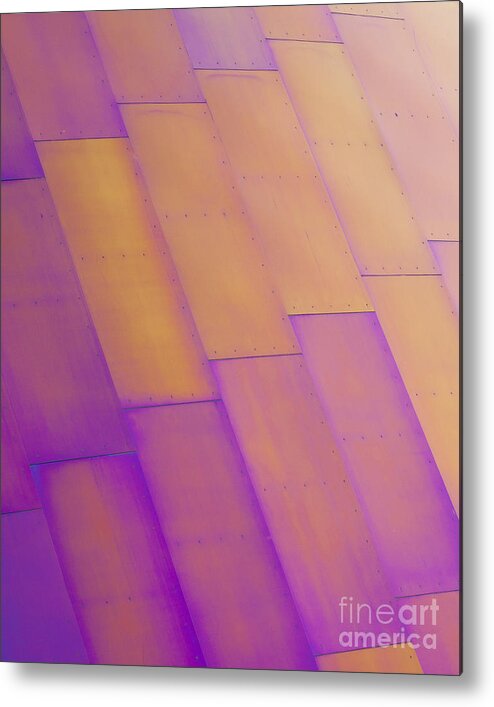 Purple Metal Print featuring the photograph Purple Orange I by Chris Dutton