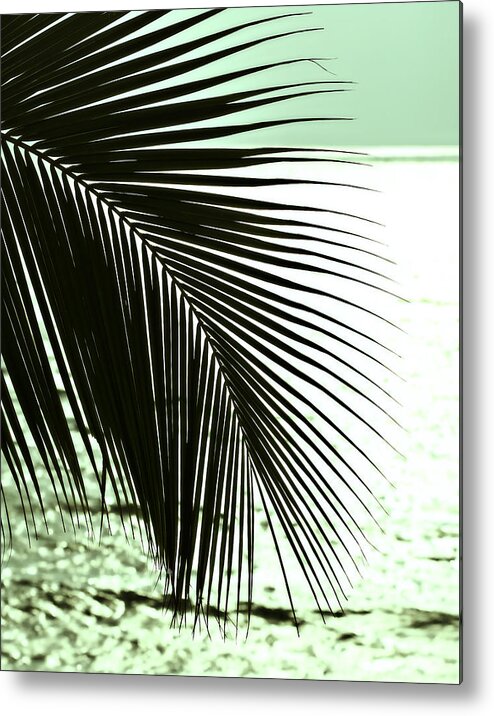 Simple Metal Print featuring the photograph Simple Things by Marilyn Hunt