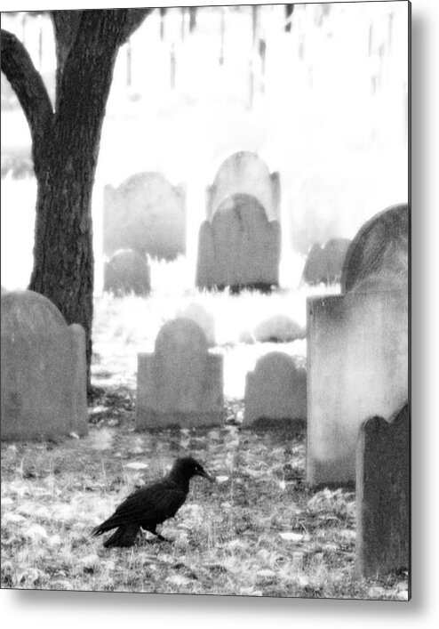 Crow Metal Print featuring the photograph Spirit Guardian by Brooke T Ryan