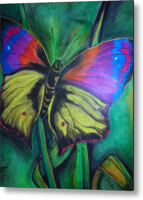 Still Life Metal Print featuring the drawing Still Butterfly by Juliana Dube