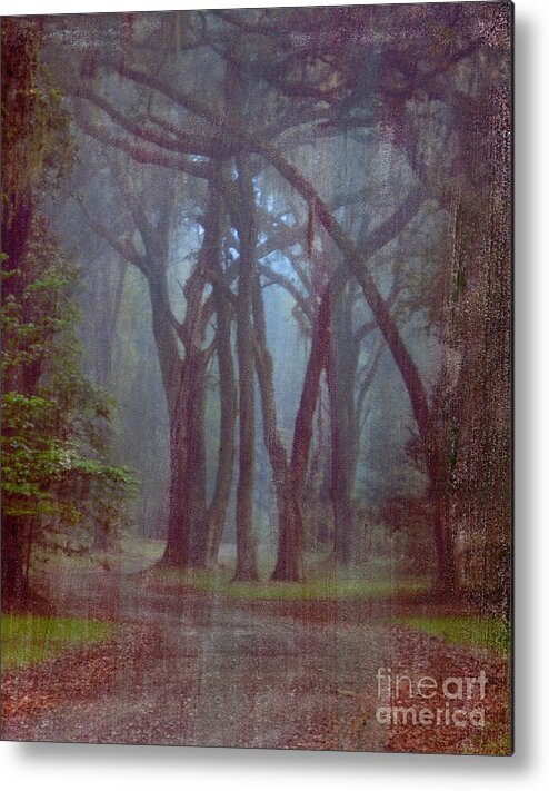 Forest Metal Print featuring the photograph Three Sisters by Bob Senesac