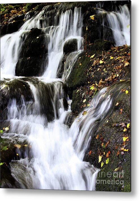 Badger Metal Print featuring the photograph Badger Dingle fall by Stephen Melia