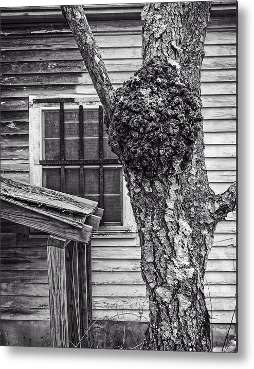 B&w Metal Print featuring the photograph Burl and Window #1 by Frank Winters